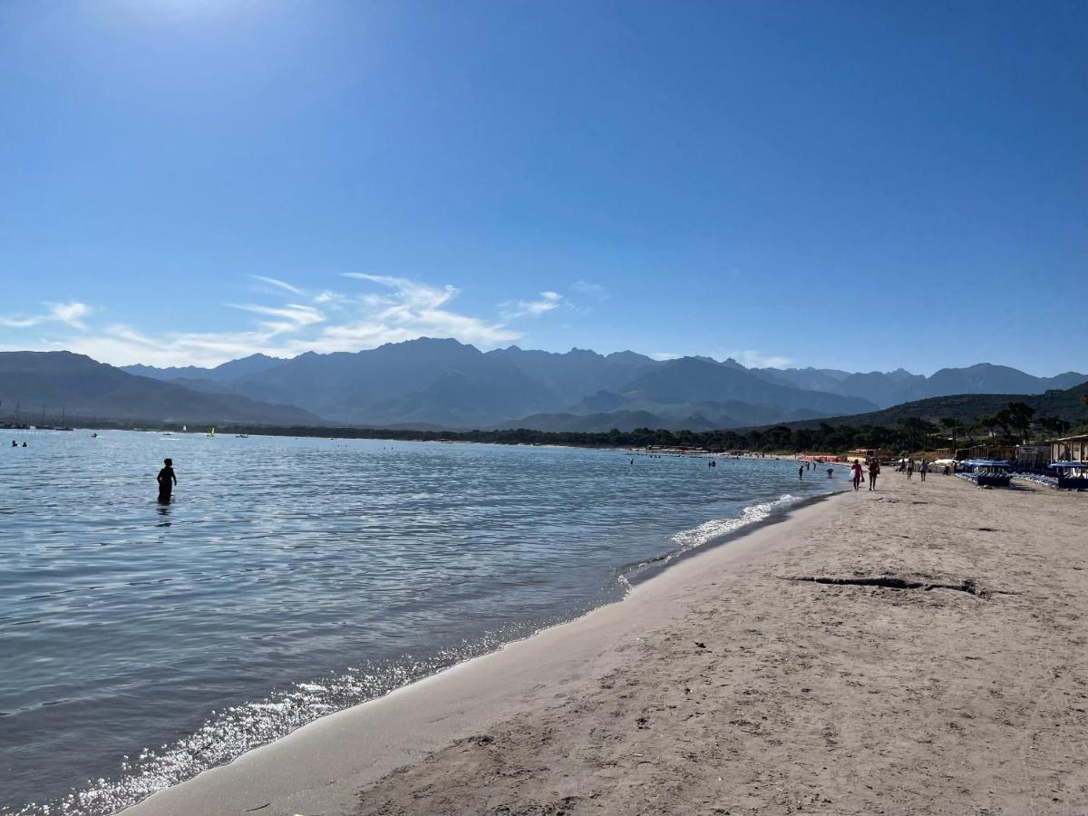 Calvi T2 climatisé, wifi, centre-ville, à proximité plage, commerces, taxi&gare, vue plage&montagne Esterno foto